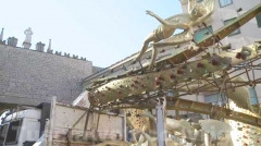 Santa Rosa sui camion