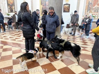 La Quercia - Sant’Antonio abate - Gli animali dentro la chiesa