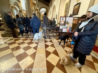 WhatsApp-Image-2026-01-18-at-13.26.29-2