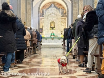 La Quercia - Sant’Antonio abate - Gli animali dentro la chiesa