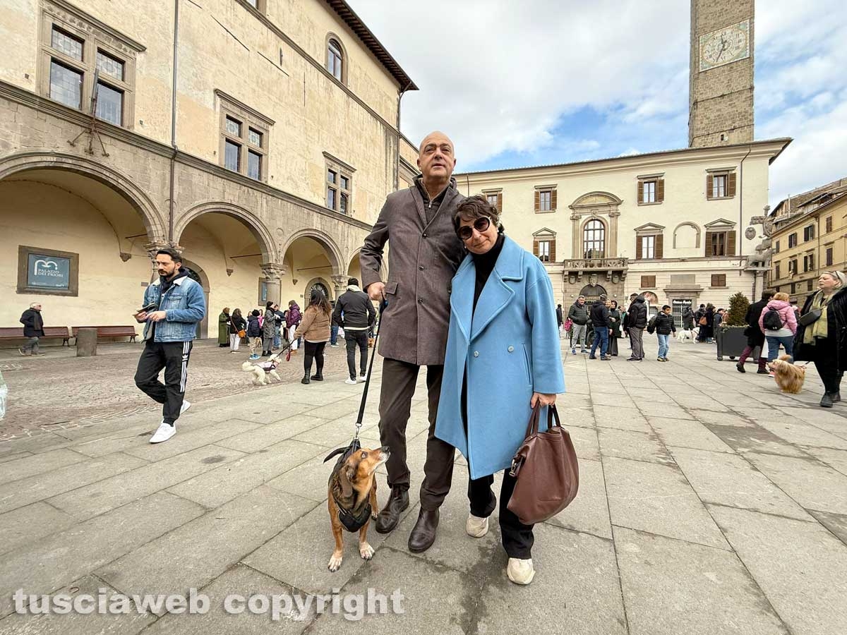Viterbo - Piazza del Comune - Sant’Antonio abate - La benedizione degli animali