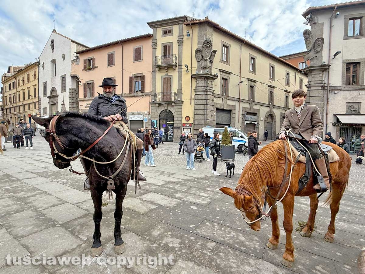 Viterbo - Piazza del Comune - Sant’Antonio abate - La benedizione degli animali