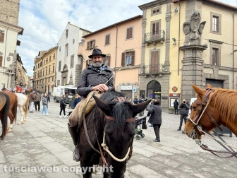 Viterbo - Piazza del Comune - Sant’Antonio abate - La benedizione degli animali