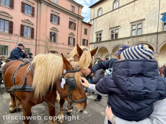Viterbo - Piazza del Comune - Sant’Antonio abate - La benedizione degli animali