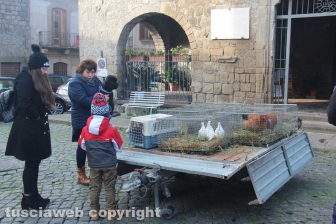 Sant'Antonio, la benedizione degli animali