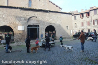 Sant'Antonio, la benedizione degli animali