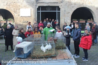 Sant'Antonio, la benedizione degli animali