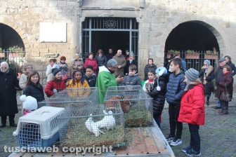 Sant'Antonio, la benedizione degli animali