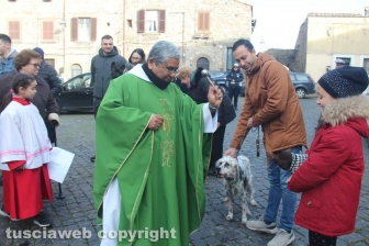 Sant'Antonio, la benedizione degli animali