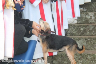 Sant'Antonio, la benedizione degli animali