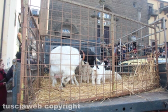 Sant'Antonio, la benedizione degli animali