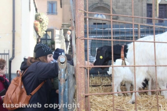 Sant'Antonio, la benedizione degli animali