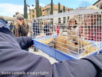Viterbo - Benedizione animali