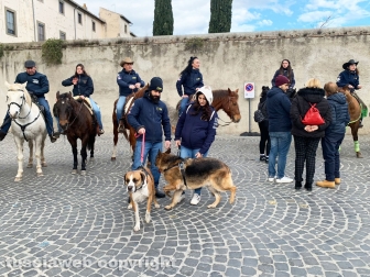 Viterbo - Sfilata Sant'Antonio