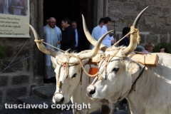 Viterbo - Santissimo Salvatore 2014