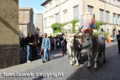 Viterbo - Santissimo Salvatore 2014