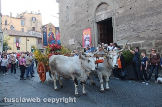 Viterbo - Santissimo Salvatore