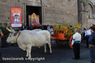 Viterbo - Santissimo Salvatore