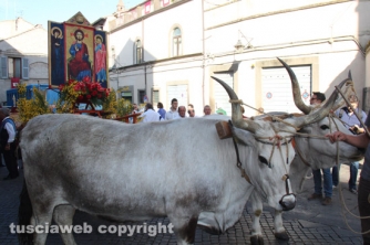Viterbo - Santissimo Salvatore
