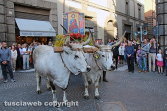 Viterbo - Santissimo Salvatore