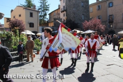 Viterbo - Sboccia San Pellegrino in fiore