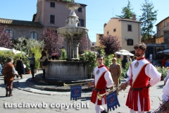 Viterbo - Sboccia San Pellegrino in fiore