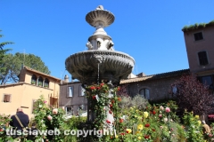 Viterbo - Sboccia San Pellegrino in fiore