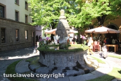 Viterbo - Sboccia San Pellegrino in fiore