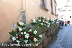 Viterbo - Sboccia San Pellegrino in fiore