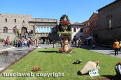 Viterbo - Sboccia San Pellegrino in fiore