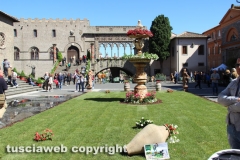 Viterbo - Sboccia San Pellegrino in fiore
