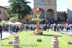 Viterbo - Sboccia San Pellegrino in fiore