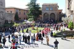 Viterbo - Sboccia San Pellegrino in fiore