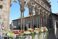 Viterbo - Sboccia San Pellegrino in fiore