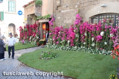 Viterbo - Sboccia San Pellegrino in fiore