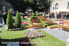 Viterbo - Sboccia San Pellegrino in fiore