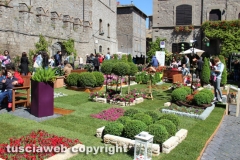 Viterbo - Sboccia San Pellegrino in fiore