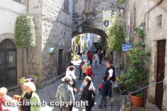 Viterbo - Sboccia San Pellegrino in fiore