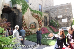 Viterbo - Sboccia San Pellegrino in fiore
