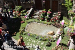Viterbo - Sboccia San Pellegrino in fiore