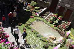 Viterbo - Sboccia San Pellegrino in fiore