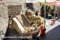 Viterbo - Sboccia San Pellegrino in fiore