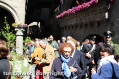 Viterbo - Sboccia San Pellegrino in fiore