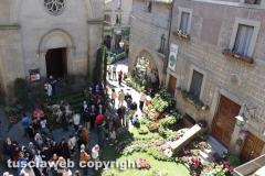 Viterbo - Sboccia San Pellegrino in fiore