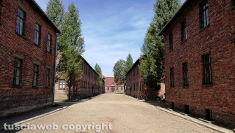 Auschwitz