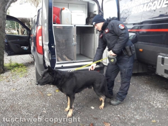 Montefiascone - Le ricerche dello scomparso - Carabinieri - Un cane molecolare