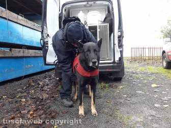 Montefiascone - Le ricerche dello scomparso - Carabinieri - Un cane molecolare