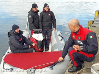 Montefiascone - Le ricerche dello scomparso - Carabinieri - Un cane molecolare