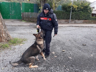 Montefiascone - Le ricerche dello scomparso - Carabinieri - Un cane molecolare