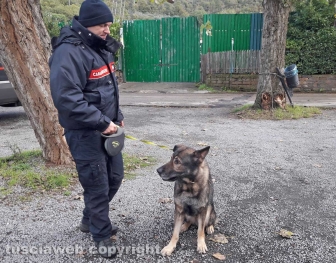 Montefiascone - Le ricerche dello scomparso - Carabinieri - Un cane molecolare